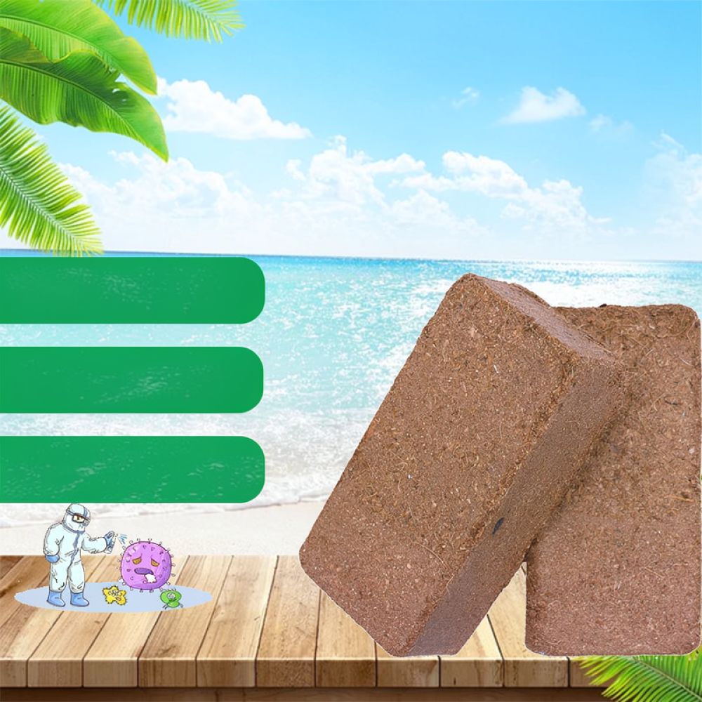Premium Dehydrated Coconut Coi - Substrate Coconut Fiber recension och pris