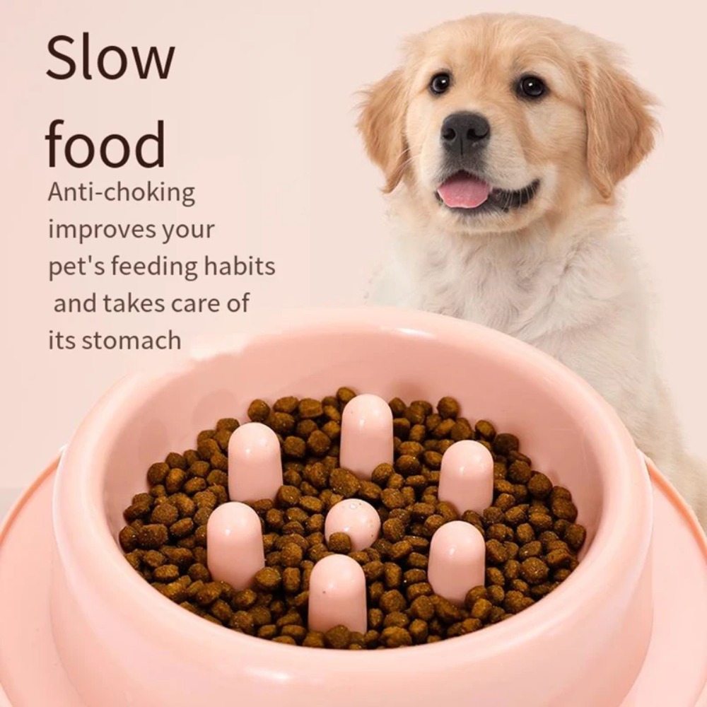 Pet Dog Slow Feeder Bowl Fun N - Royal Canin Food Medium recension och pris